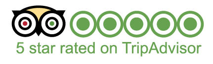 tripadvisor logo on transparent background