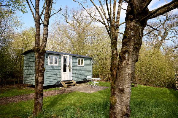 A shepherds hut at great ashley farm in Bradford-On-Avon set in a private wood