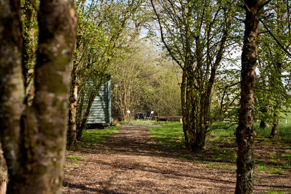 path leading to a wooded area with a shepherds hut on the left side